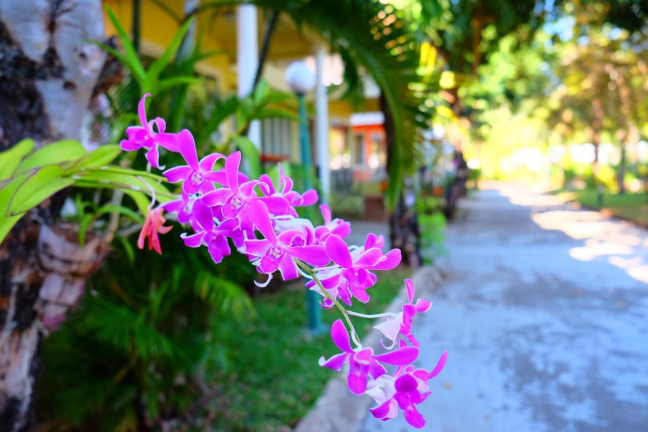 New Travel Beach Hotel & Resort Chao Lao Beach Exteriör bild